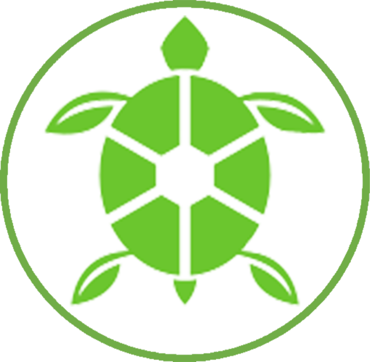 Python Turtle logo